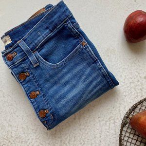 Madewell High Rise Skinny Jeans